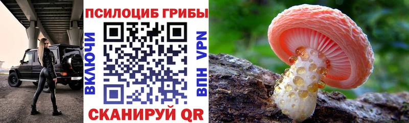 Купить где  Артёмовский  Галлюциногенные грибы прущие грибы 